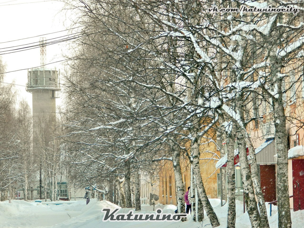 Улица Катунина в пос. Катунино